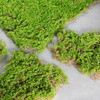 仿真苔藓草皮人工植物草坪造景室内装饰品假绿植盆景店铺橱窗布置