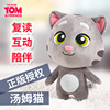 会学说话的汤姆猫复读毛绒玩偶智能对话玩具儿童猫咪公仔PP棉娃娃