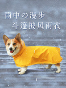 宠物衣服夏季狗狗雨衣小型犬用品泰迪柯基专用防水狗中型四脚全包