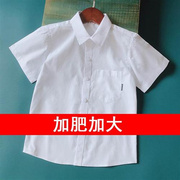 男童短袖白衬衫纯棉尖领袋儿童，表演服夏季中大童学生校服蓝色衬衣
