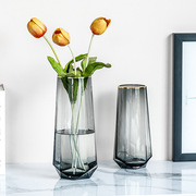 北欧简约透明玻璃花瓶插花花瓶摆件家居客厅电视柜简约餐桌装饰品