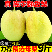 新疆库尔勒香梨新鲜水果10斤当季孕妇特级应季梨子整箱全母梨