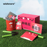 wishmore种桃花创意手工diy生日礼物闺蜜桌面摆件礼盒女神节