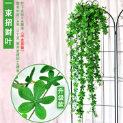 仿真招财叶子壁挂假树叶花藤条装B饰塑料藤蔓植物绿植墙面吊篮绿