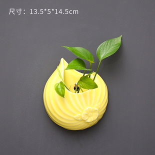 创意墙上壁挂绿萝水培器皿花瓶水养植物花盆悬挂式插花花器装饰品
