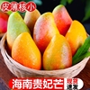 海南贵妃芒果10斤新鲜水果整箱，应当季热带，红金龙非台农时令