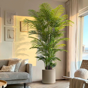 仿真绿植散尾葵落地盆栽室内大型仿生植物摆件客厅，轻奢装饰花假树