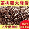 古田新货500g茶树菇干货，新鲜茶薪菇香菇，蘑菇金针菇俏鹿茸菇虫草