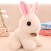 小兔子毛绒玩具仿真玩偶，布娃娃小白兔公仔可爱兔兔儿童，女孩生日礼
