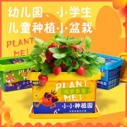 小花农种植园草莓迷你盆栽儿童，diy植物罐头幼儿园观察发芽向日葵