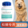 松狮专用益生菌片宠物保健益生菌狗狗肠胃宝肠道消化宝成幼犬