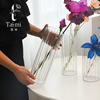 苔米 透明插花塑料花瓶养花ins风高级简约北欧透明花瓶客厅摆件