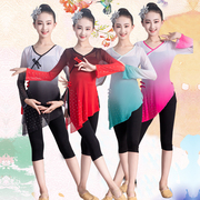 儿童古典舞练功服身韵纱衣女童中国舞，考级形体民族少儿舞蹈演出服