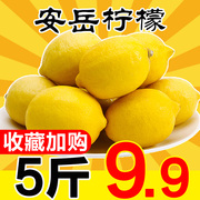柠檬新鲜5斤皮薄一级香水柠檬奶茶店专用四川安岳鲜柠檬黄柠檬