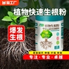 快速生根粉植物通用树木壮苗生根剂扦插移栽多肉营养液快速生根液
