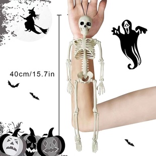 骨架骷髅骨头架人体，骨骼模型医学四肢可拆40cm架，关节可万圣节