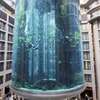 实木超白玻璃金晶玻璃鱼缸海水缸圆柱缸海洋缸办公室水族