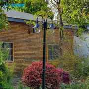欧式庭院灯路灯户外灯3米防水家用双头高杆景观灯改造小区草坪灯