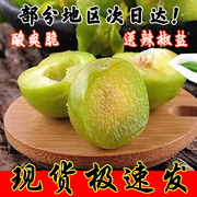 信宜新鲜三月李5斤酸脆青李子广东酸嘢腌制孕妇水果当季现摘