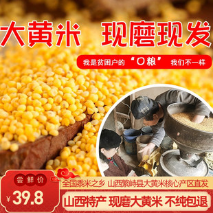 山西特产大黄米新米食用粘糯新鲜黏糯小米农家红黍黄糯米(黄糯米)粽子杂粮