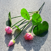 单支仿真荷花莲花荷叶把束小假花塑料，花荷花荷叶一体装饰小把束花