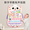 儿童婴儿早教有声挂图幼儿园1-10-100数字汉字识字英文字母识字