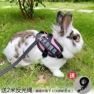 。溜兔绳兔子牵引绳子，背心式溜兔绳胸背带兔子，链子猫咪牵引兔子用