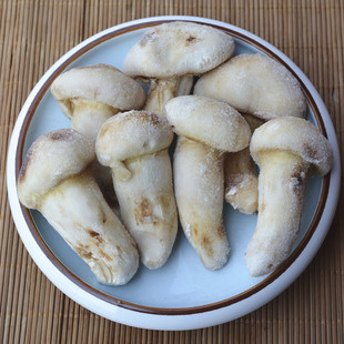 新鲜野生松茸菌冰鲜冷冻一千克非干货，云南土特产食用蘑菇煲汤鲜美
