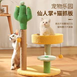 Cactus Cat Scratching Post with Sisal Rope Cat Scratcher