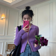 紫色上衣设计感女小众2021春秋百搭翻领拉链长袖针织衫小外套