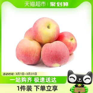 陕西延安红富士苹果新鲜水果，5斤装应季新果脆甜多汁整箱