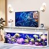 茶几金鱼缸(金鱼缸)电视柜鱼缸，客厅落地生态鱼缸，超白热弯玻璃水族箱珊瑚缸