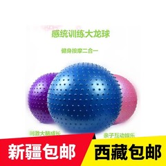 新 款新疆西藏瑜伽球儿童大龙球感统训练器材家用成人防爆健