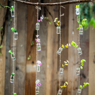 悬挂透明玻璃瓶子小清新绿，植物装饰串空中吊饰，幼儿园环创空中挂饰