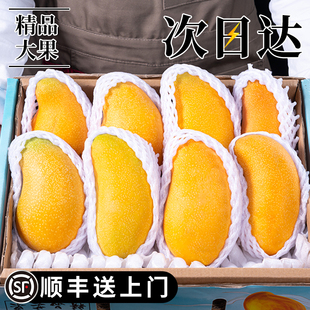 海南金煌芒芒果新鲜10特大水果新鲜当季整箱斤金黄水仙芒芒果