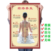 中医经络养生图片美容海报宣传画广告针灸，艾灸人体经络穴位图挂图