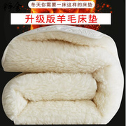 可铮舍成人定制床垫冬季加厚羊毛保暖床，褥子垫被学生18双人