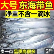 带鱼现捕整条新鲜海鲜活速冻特级小眼油带鱼海捕鱼整条带鱼水产