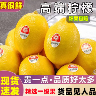 四川安岳柠檬5斤超市一级果新鲜黄柠檬皮薄多汁