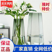 花瓶玻璃透明北欧简约网红玻璃，花瓶透明创意水养玫瑰百合花瓶客