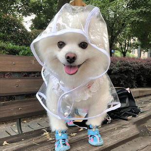 狗狗防水雨衣泰迪博美比熊小型幼犬柯基中大型犬雨披透明宠物衣服