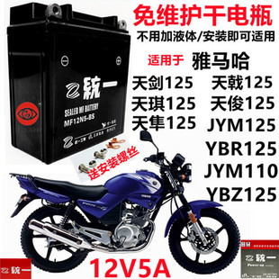雅马哈125天天戟ybrjym125摩托车统一免维护蓄电池12v5a干电瓶
