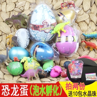 泡水恐龙蛋玩具儿童大海绵宝宝，水中吸水膨胀孵化蛋恐龙模型小玩具