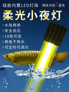 LED防水鱼缸灯氛围潜水小夜灯龙鱼专用水族增艳柔光白光水草灯