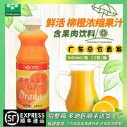 鲜活柳橙含果肉饮料浓浆840ml柳橙浓缩汁鲜活果汁浓缩香橙汁商用