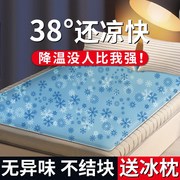 水床垫成人冰袋垫水袋凉席，水冷夏季床上凉垫冰凉沙发垫，夏凉垫(夏凉垫)宿舍