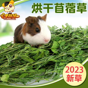 烘干苜蓿草2023新草兔粮兔子饲料豚鼠，龙猫粮(龙猫粮，)荷兰猪幼兔干草牧草