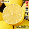 黄柠檬(黄柠檬)新鲜皮薄一级5斤水果整箱四川安岳特产9酸甜青鲜柠檬