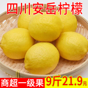 四川安岳黄柠檬新鲜当季水果酸宁檬一级果皮薄香水奶茶店专用商用