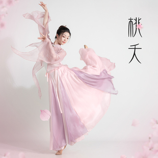 古典舞纱衣纱裙套装飘逸大摆裙粉紫色仙气剧目表演服中国舞舞蹈服